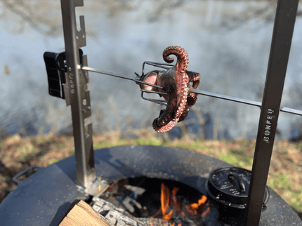 BonFeu Motor voor Rotisserie set