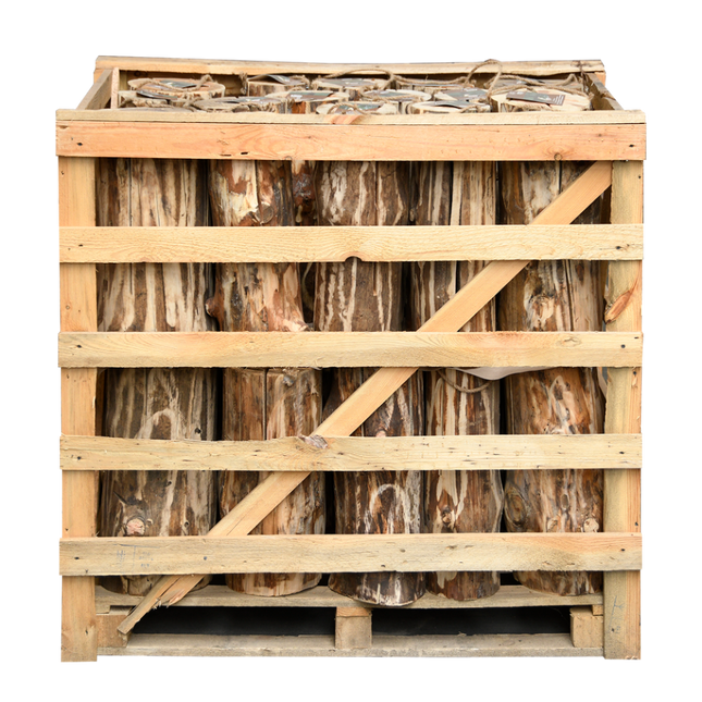 Esschert Zweedse Fakkel |Hoogte 50 cm| 36 stuks