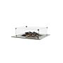 Cosi Glas set Rechthoek
