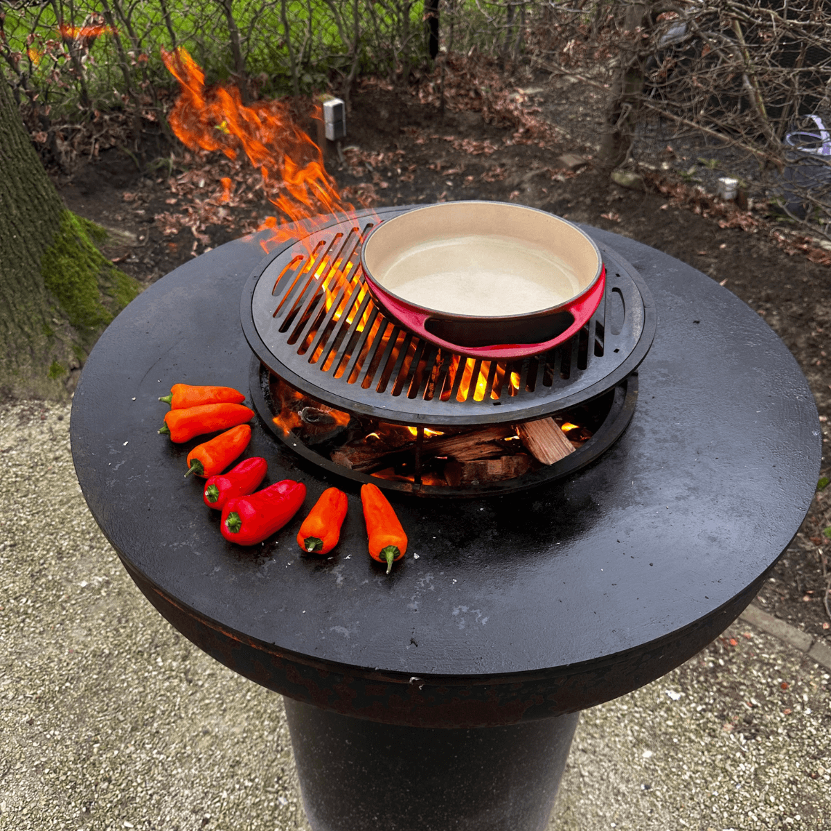 BonFeu Grill voor Standaard 