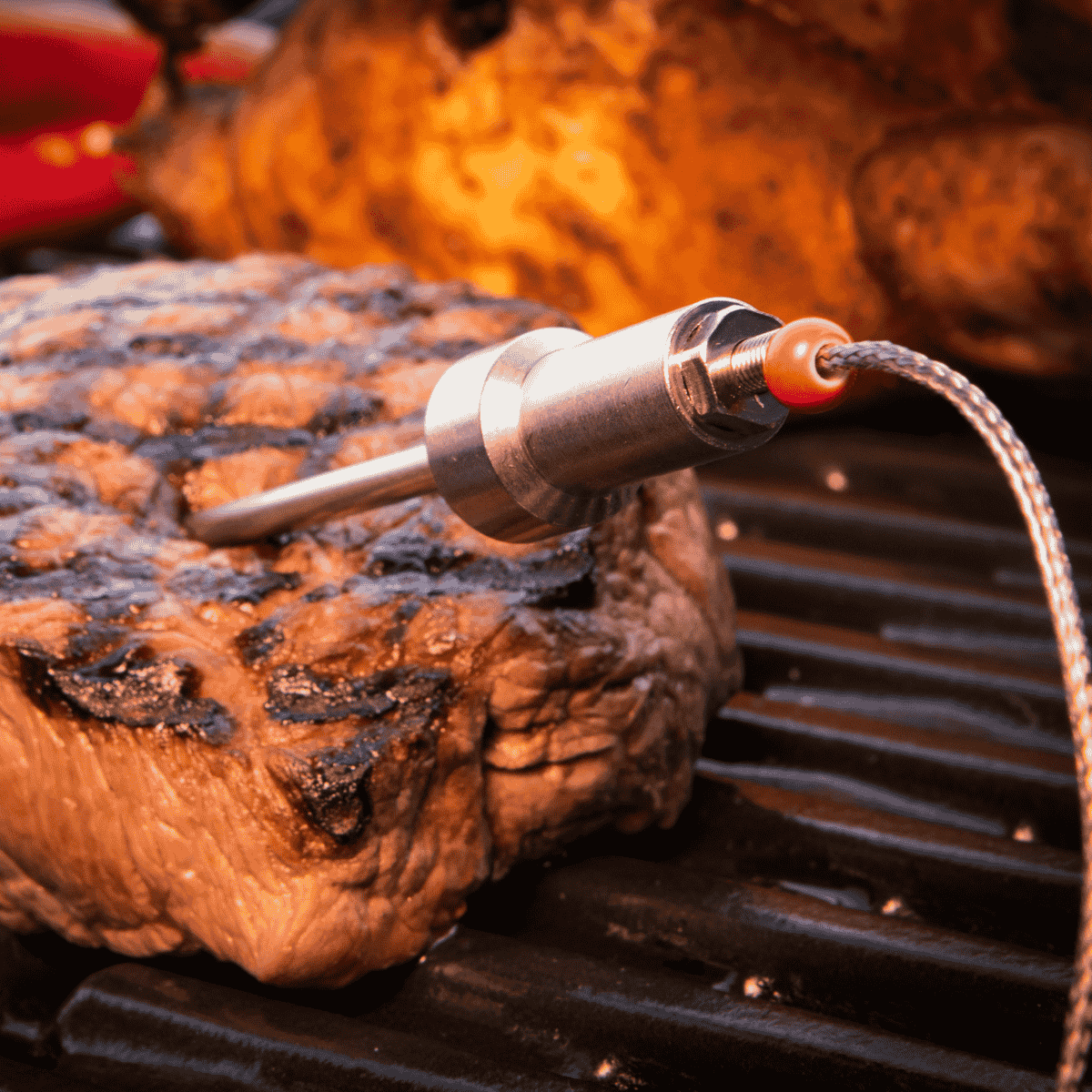 HerQs probes voor thermometer (2 stuks)