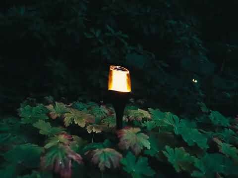 ZOLUNA Solar Priklamp Anky