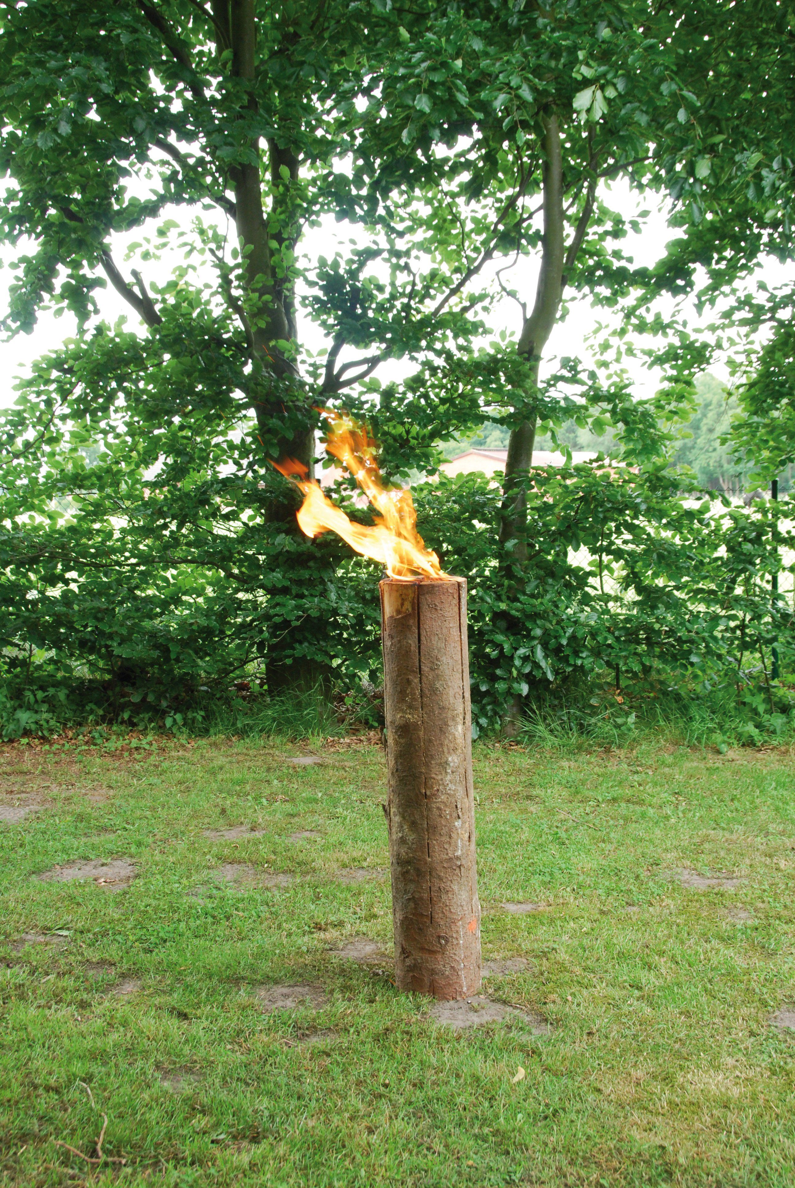 Esschert Zweedse Fakkel |100 cm| 18 stuks