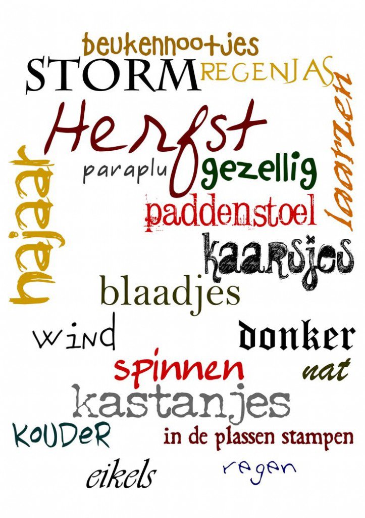 Wat voor moois zal de herfst ons weer brengen? Wat voor moois zal de herfst ons weer brengen?