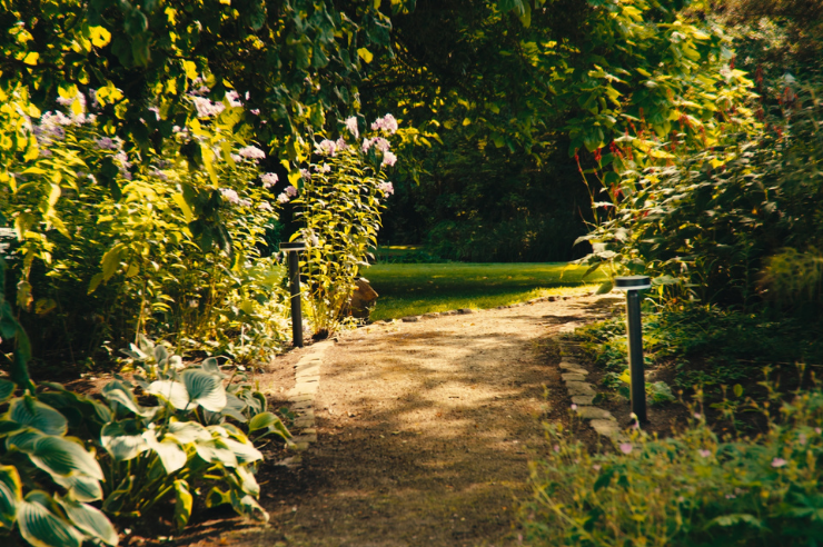Maak je tuin lenteproof
