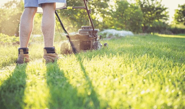 Jouw gazon verticuteren voor een zomer-ready tuin